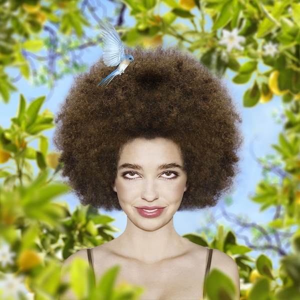 Photograph Marieke Van Grinsven Spring on One Eyeland